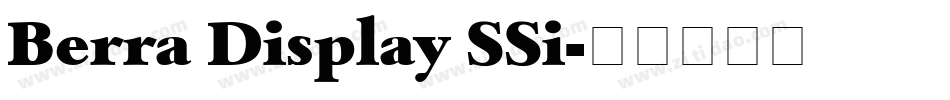 Berra Display SSi字体转换
